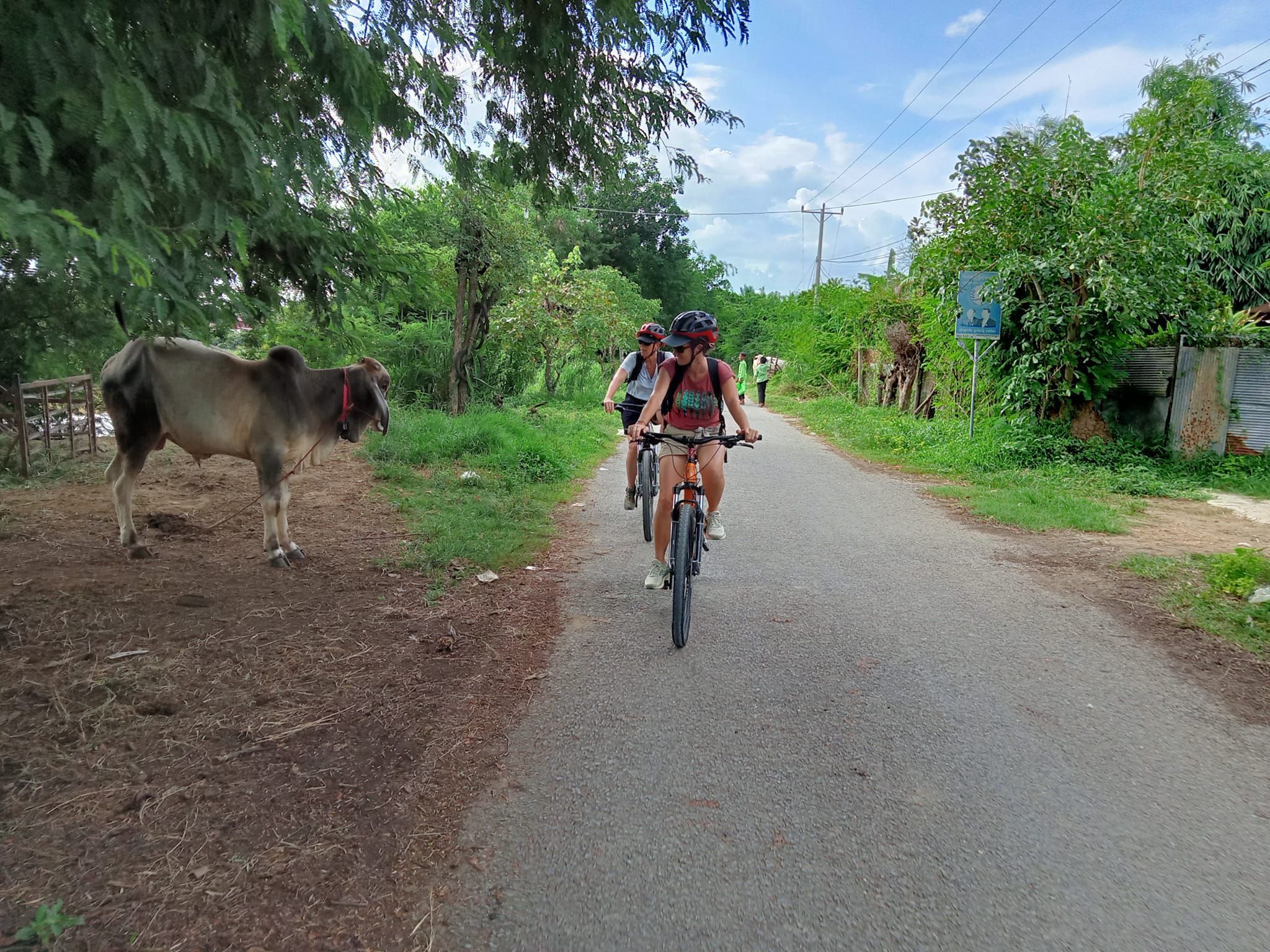 Angkor Explore Cycling Holiday 5 Days